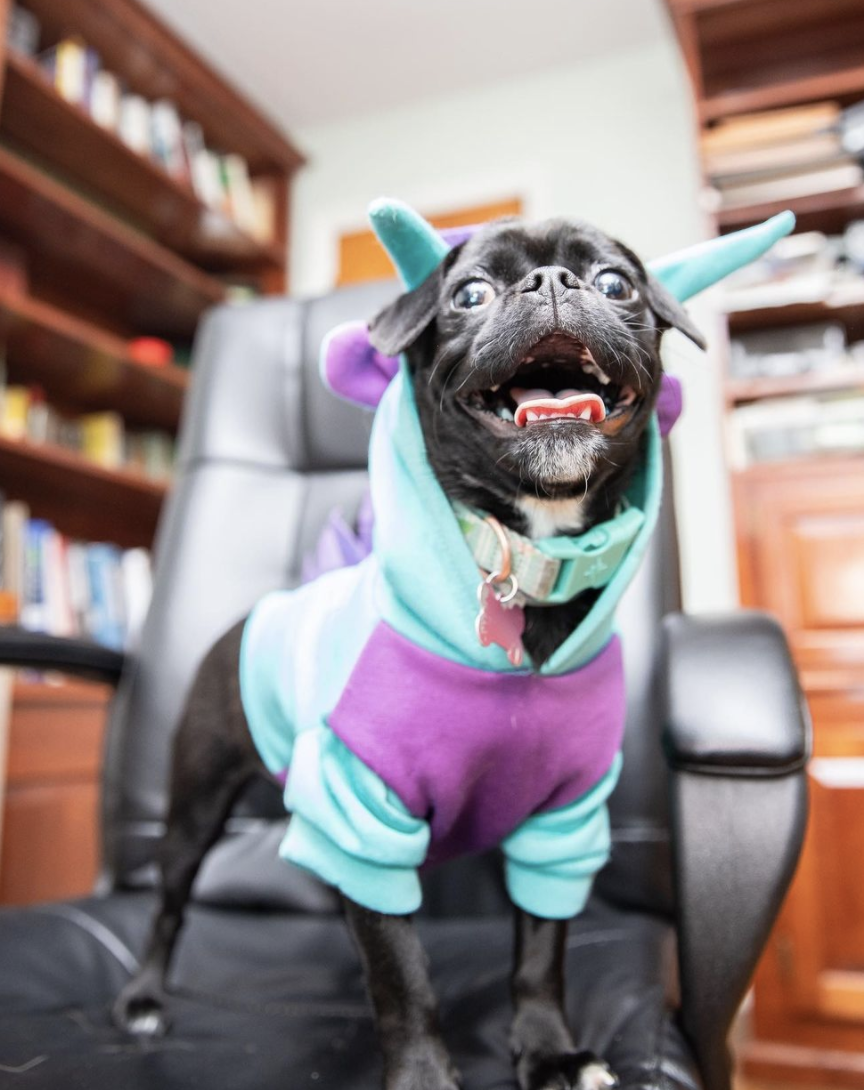 Photo Credit: @cwood_images