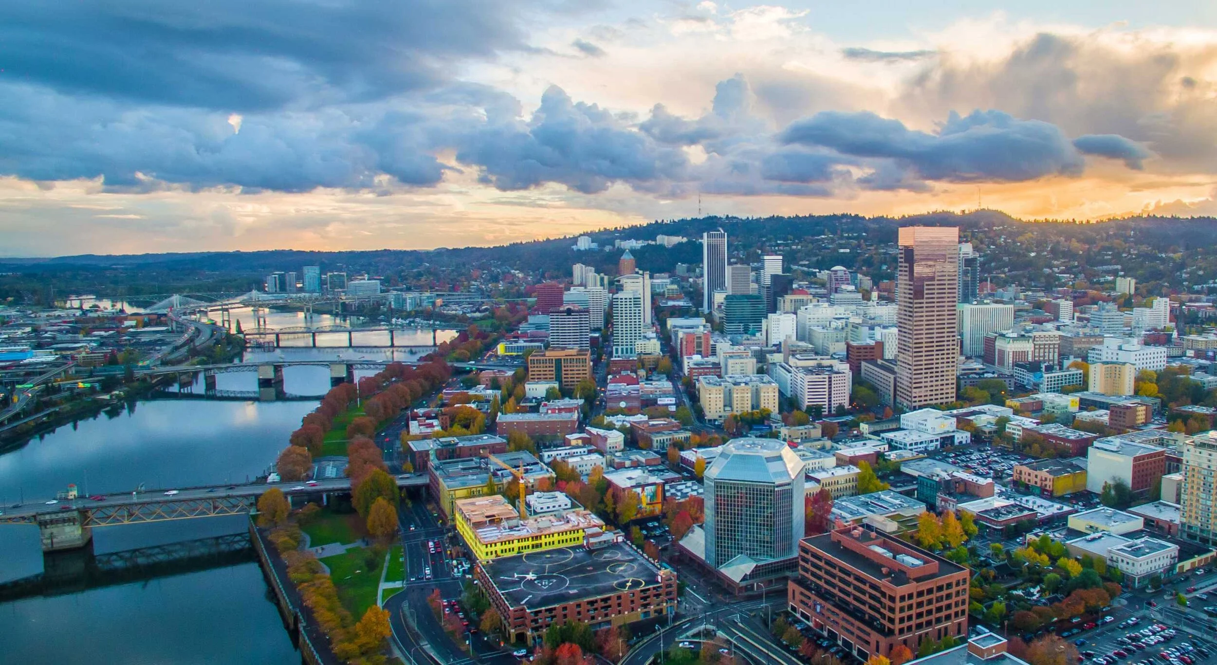 Best Places To Take Your Dog In Portland This Summer