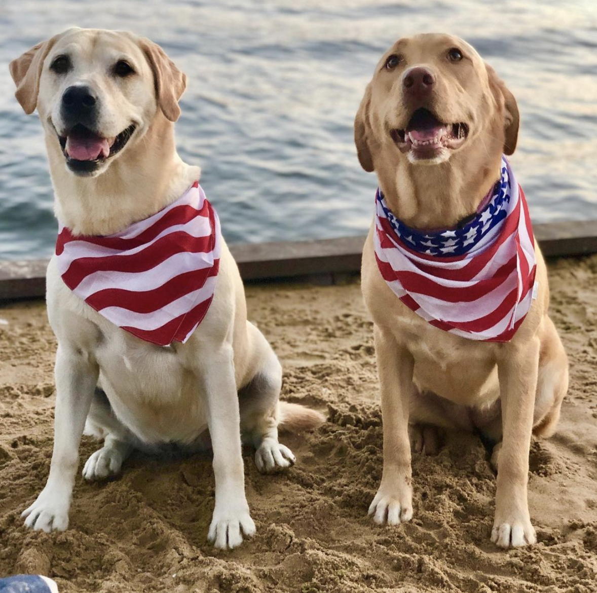 Photo Credit: @chloe.charlie.lablife