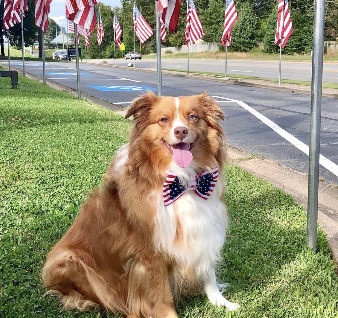 Photo Credit: @pup2prince