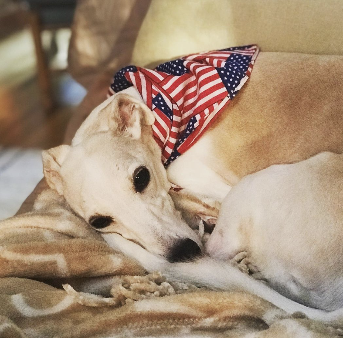 Photo Credit: @mrshneedsacraftroom