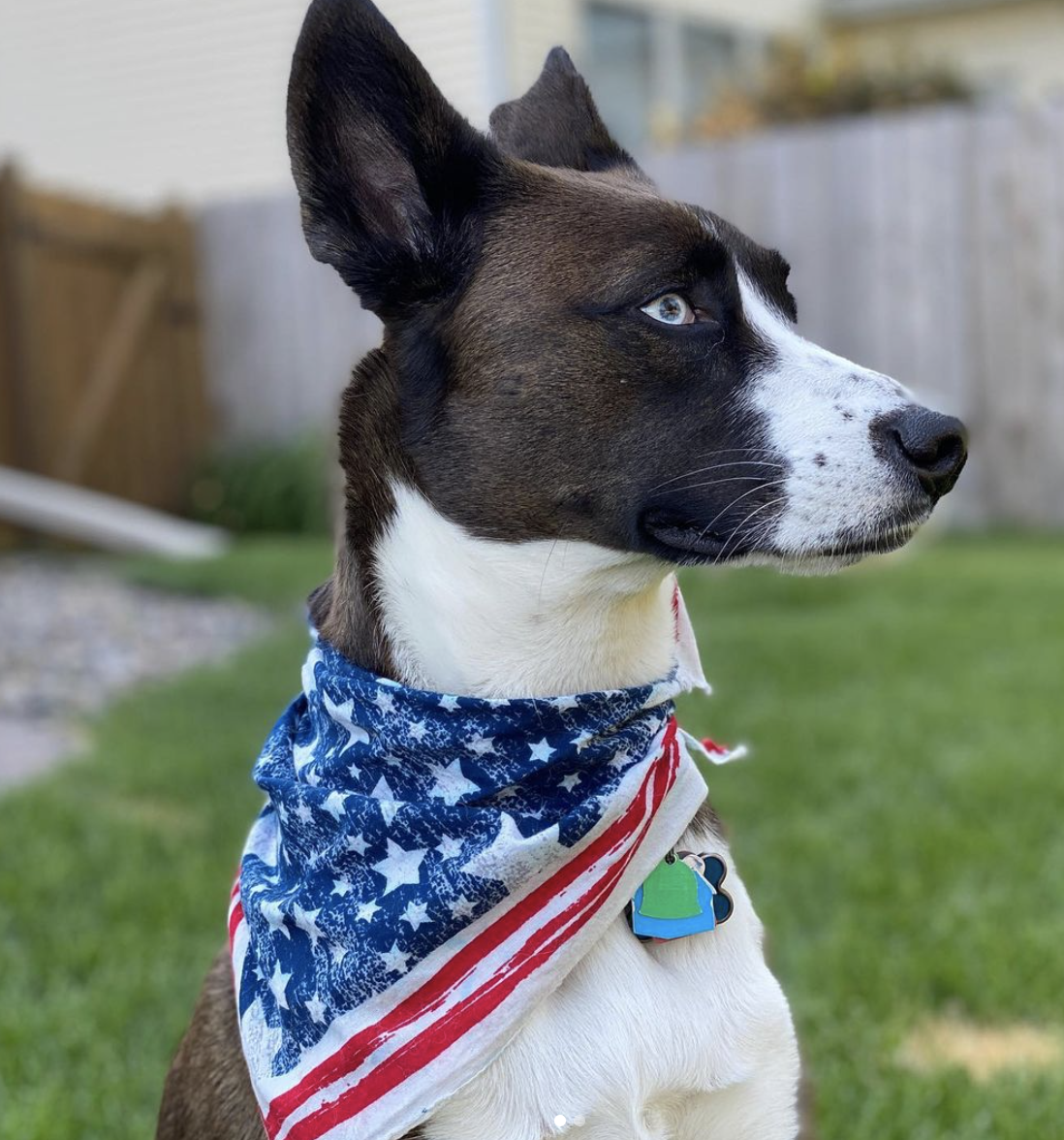 Photo Credit: @faces_of_fallon