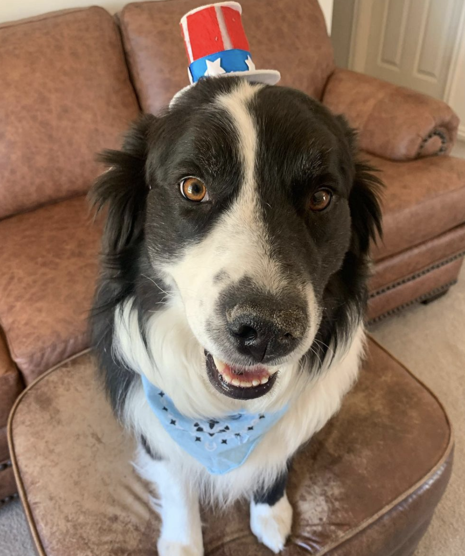 Photo Credit: @elly_izzy_tytus_cash