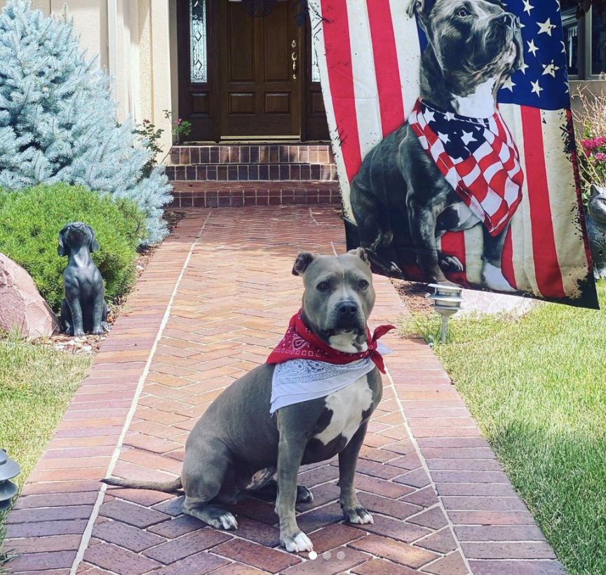 Photo Credit: @mia_theprettypitty