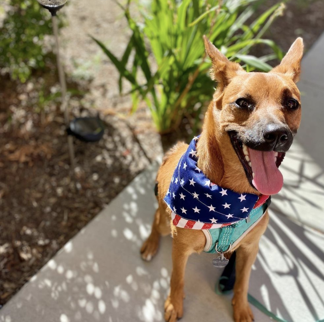 Photo Credit: @ginger.babyspice