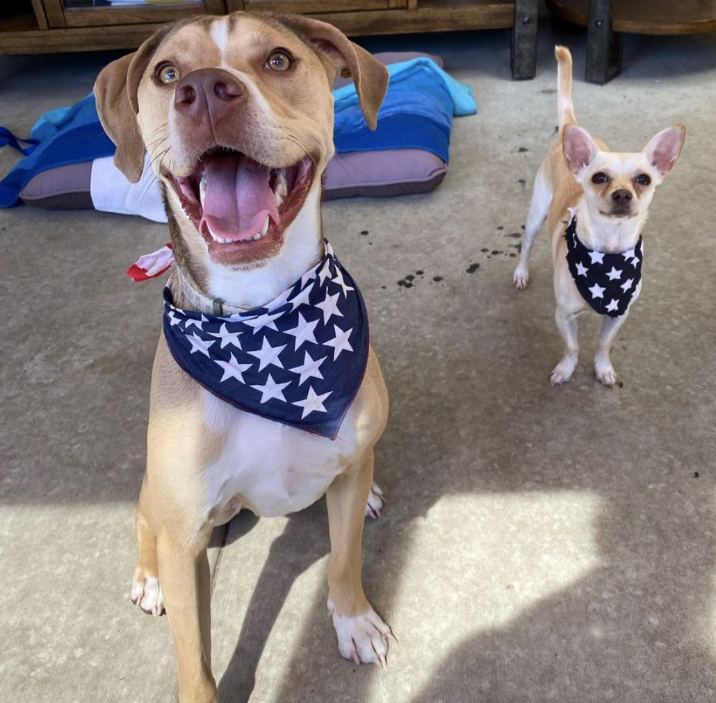 Photo Credit: @darceyk_updogla