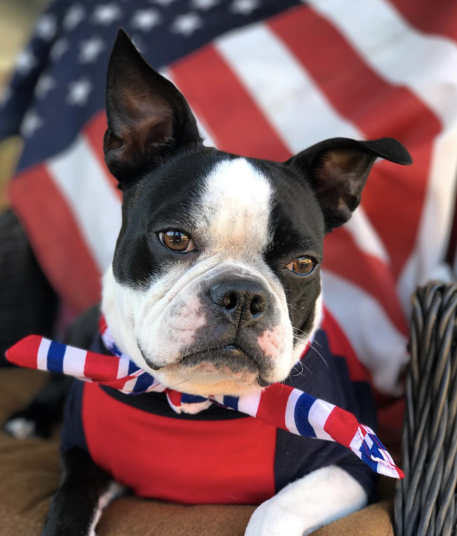 Photo Credit: @bentleyporterandgustav