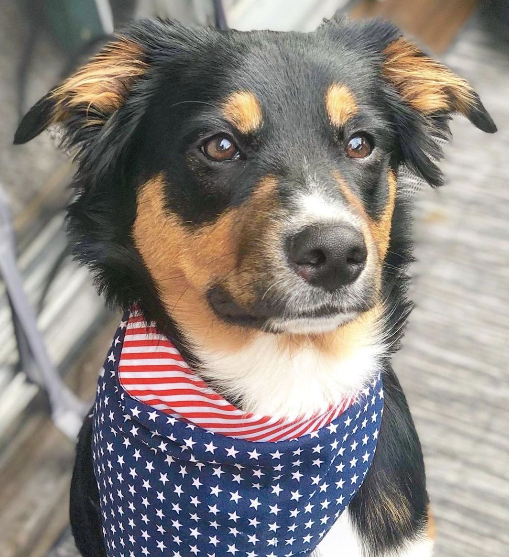 Photo Credit: @insta.gram.graham