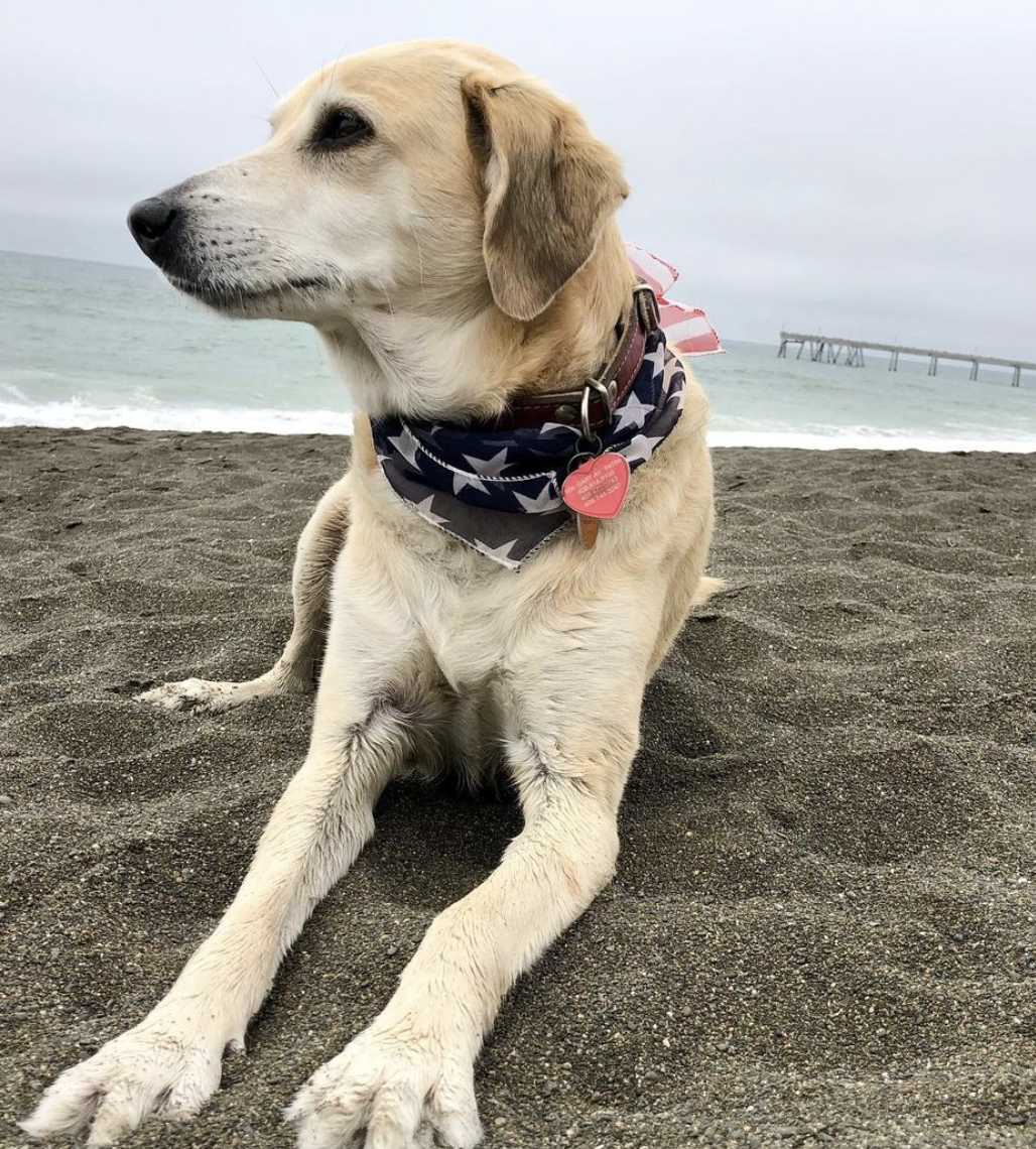 Photo Credit: @zaric_tina_marija