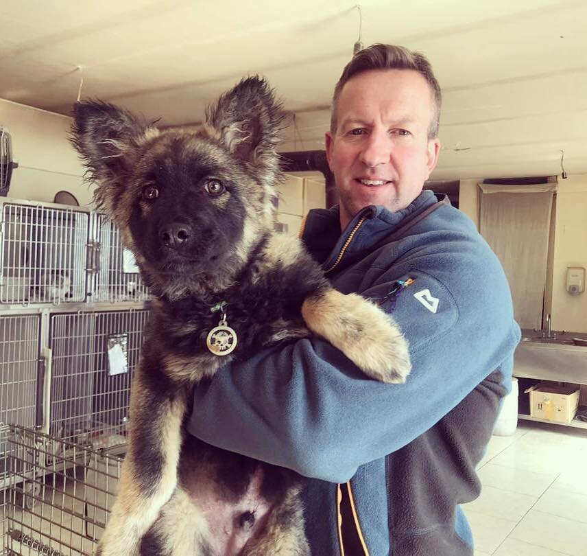 Pen Farthing's Dog Rescue Evacuation From Afghanistan - Woof Republic