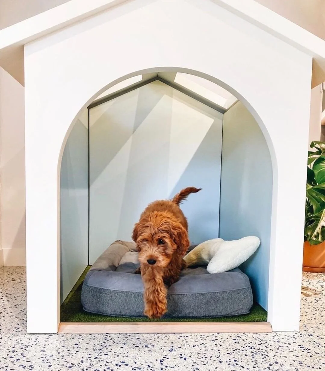 Are Casper Dog Beds Worth The Price?