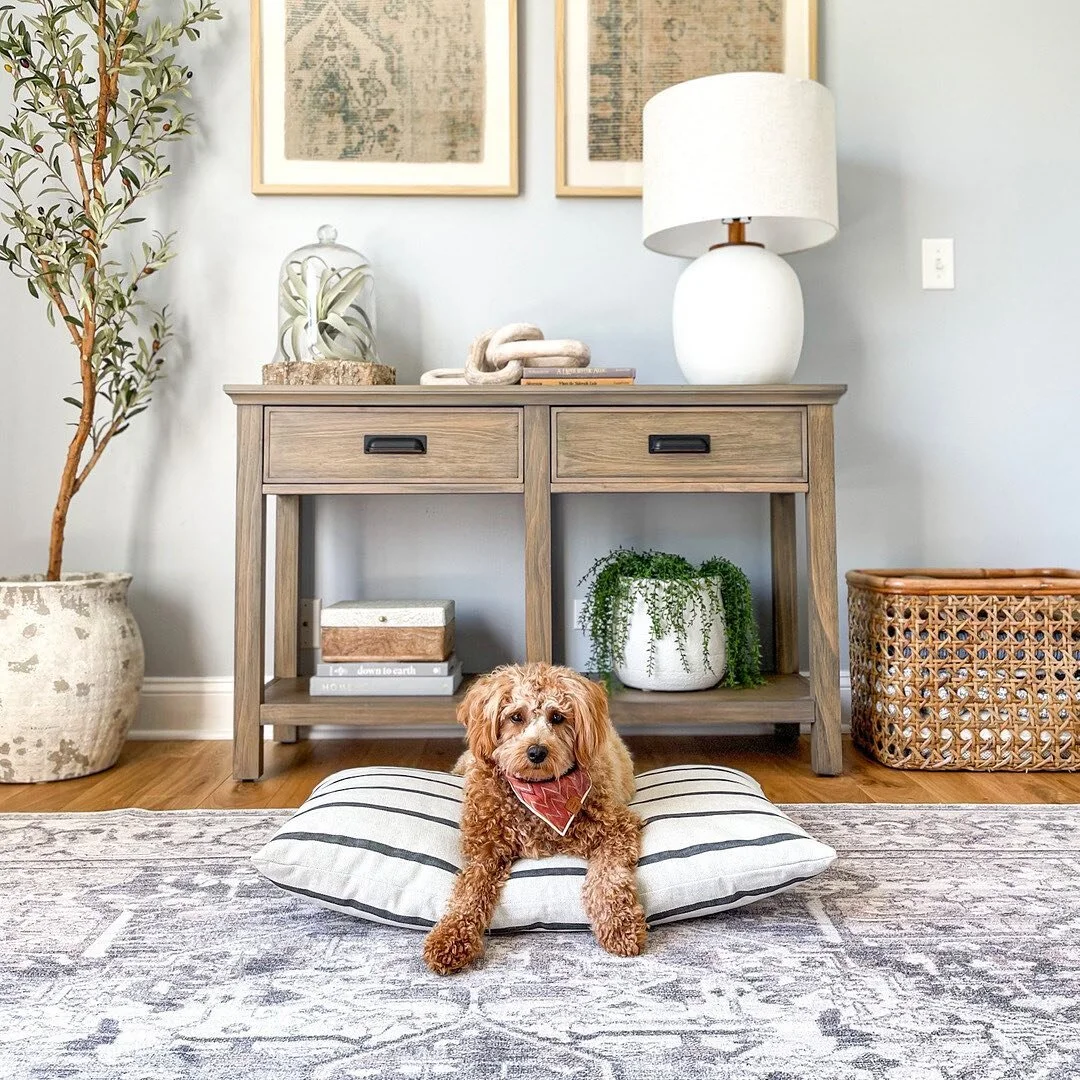 Are Foggy Dog Beds Worth The Price?