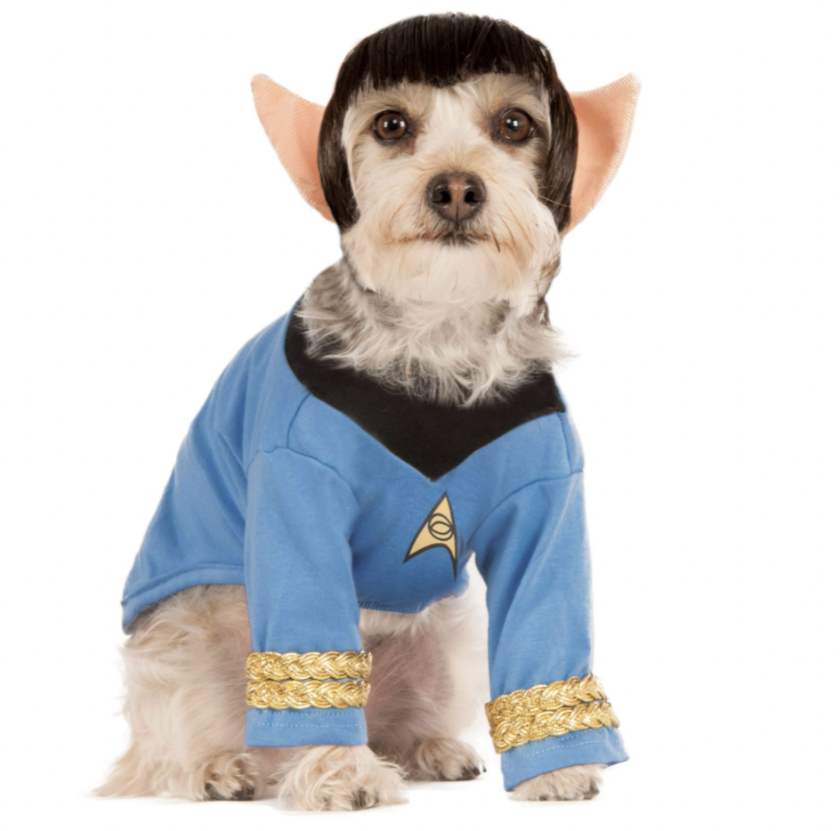 schnauzer costumes