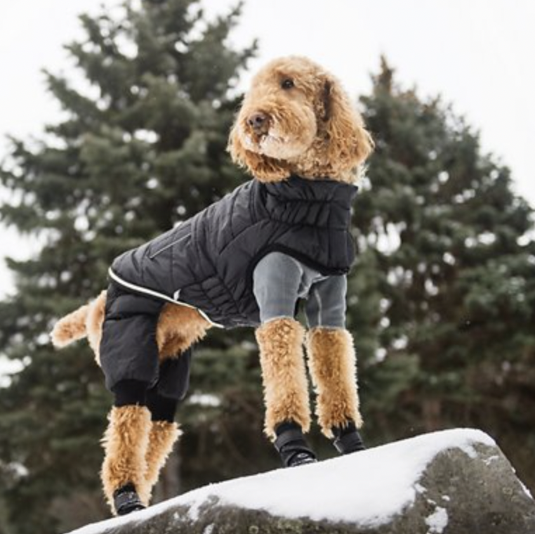 SunteeLong Winter Puppy Dog Coat Waterproof Pet Clothes Windproof Dog Snowsuit Warm Fleece Padded Winter Pet Clothes for Small Dogs 