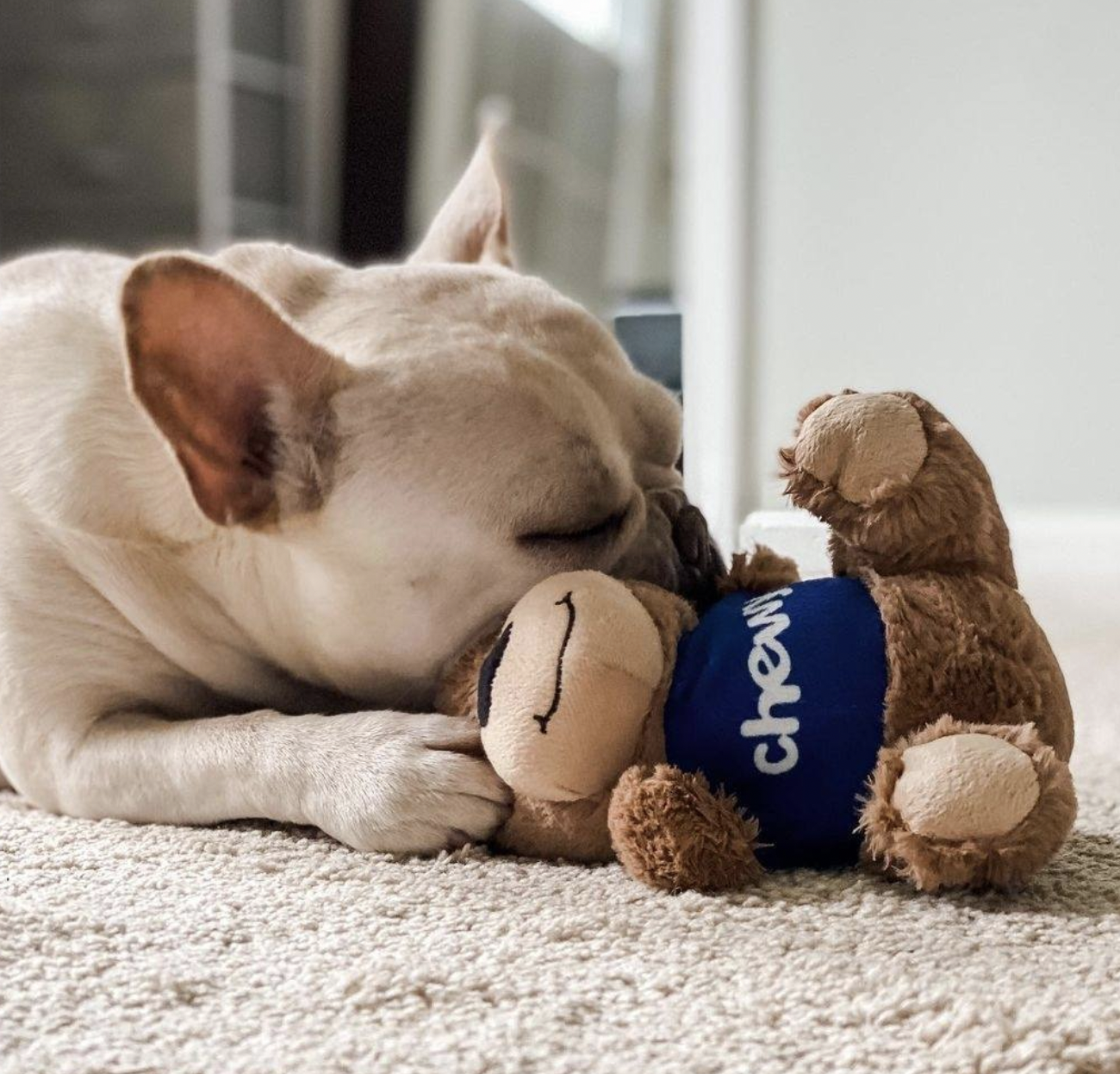 What Are The Benefits Of Being A Chewy Customer?