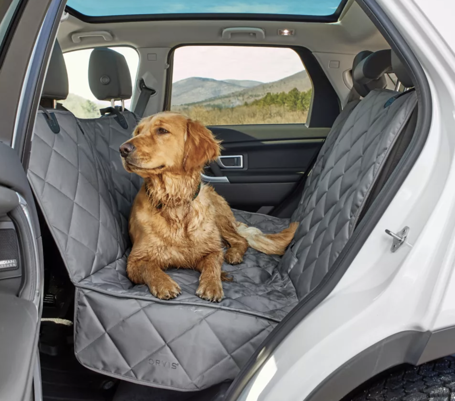 7 Best Hammocks For Dogs