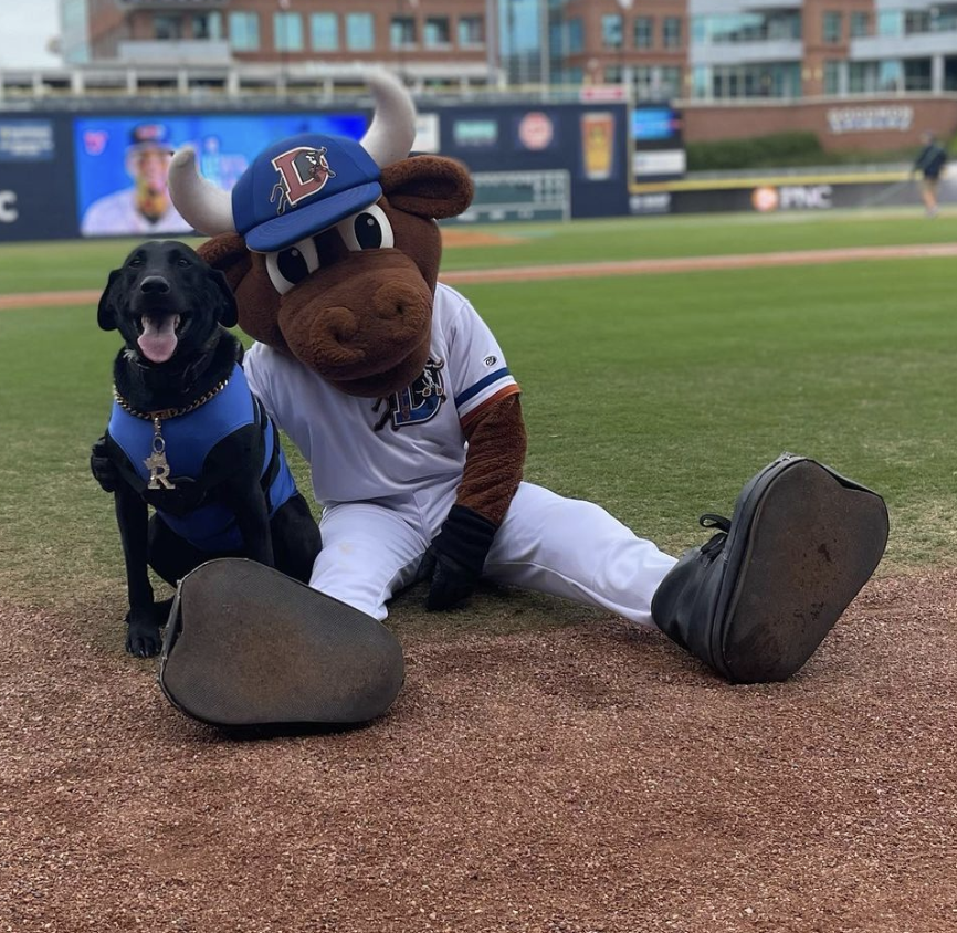 TikTok Sensation Ripken The Bat Dog Is A Minor League Baseball Star