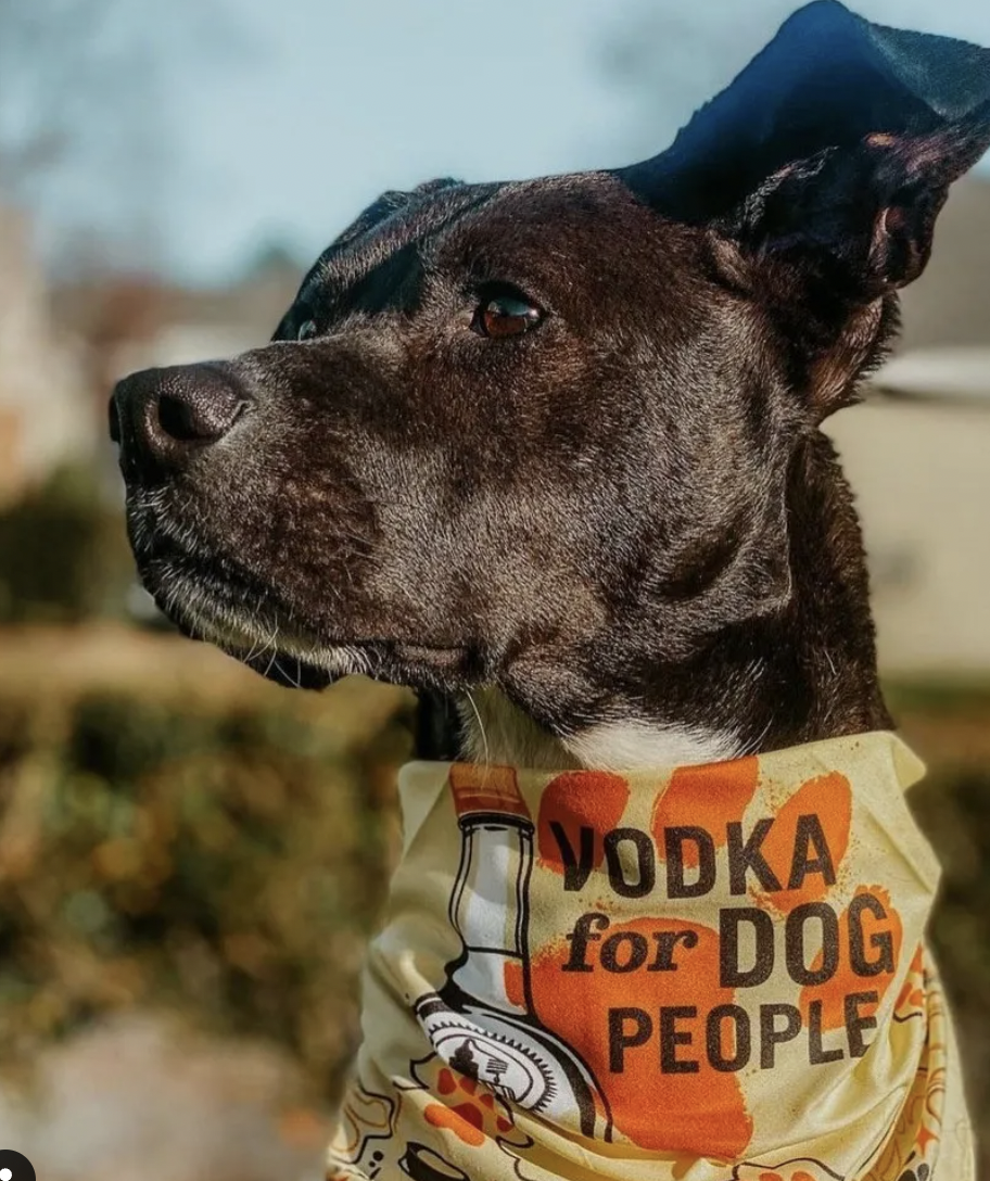 Alcohol Brands Giving Back To The Dog Community