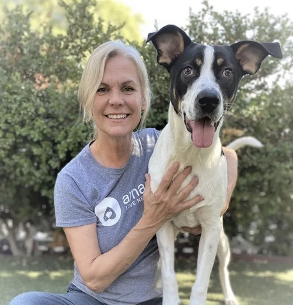 What You Need To Know About The Amanda Foundation 