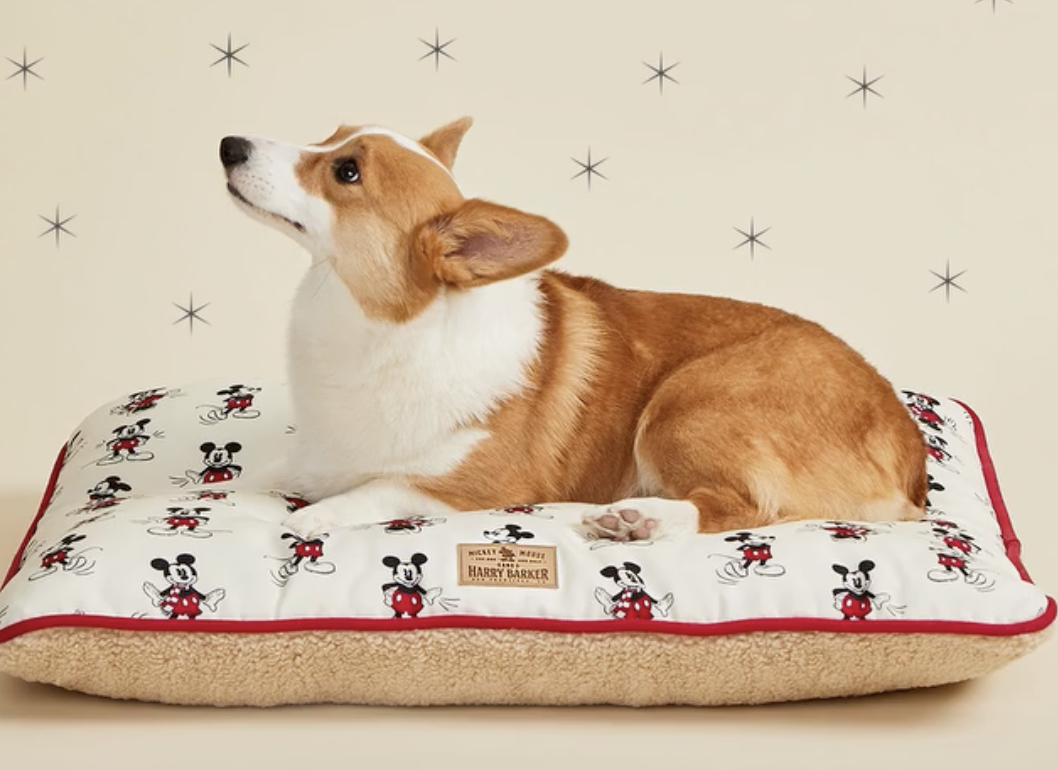 Attention Disney Fans: Harry Barker Has Released A Super Chic Pet Collection