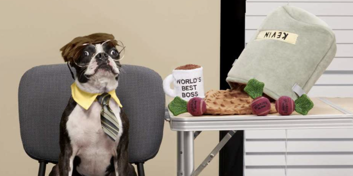 The Best 'Office'-Themed Dog Products 
