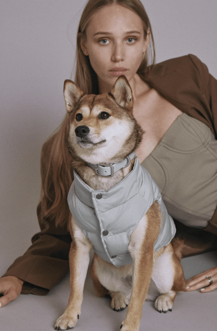 10 Fashionable Winter Clothing Items For Your Dog