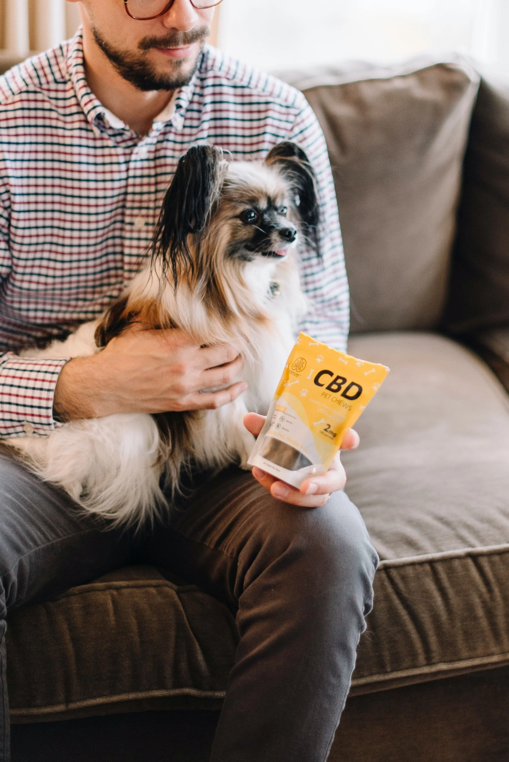 Is CBD Right For Your Dog?
