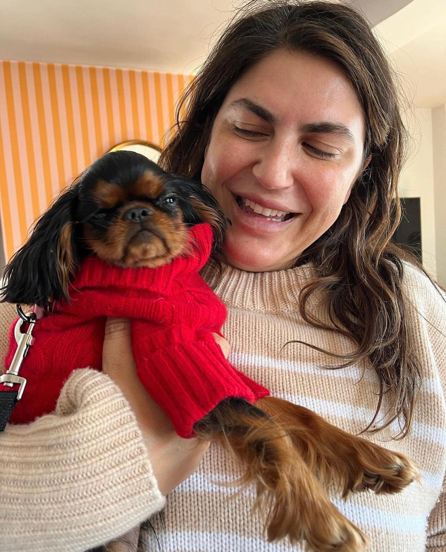 Katie Sturino got a new dog!! The @megababe founder and longtime rescue dog advocate announced last week that their family grew by four paws 🐾🐾 

📸: @katiesturino 

#katiesturino #megababe #rescuedog #rescuedogsrule #myfavoritebreedisrescued