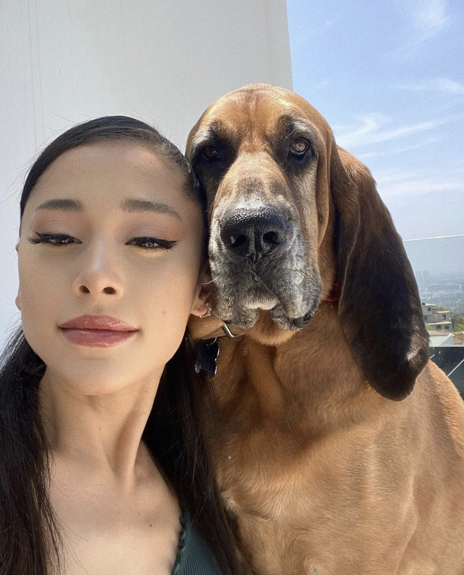 What You Need to Know About Ariana Grande's 9 Rescue Dogs