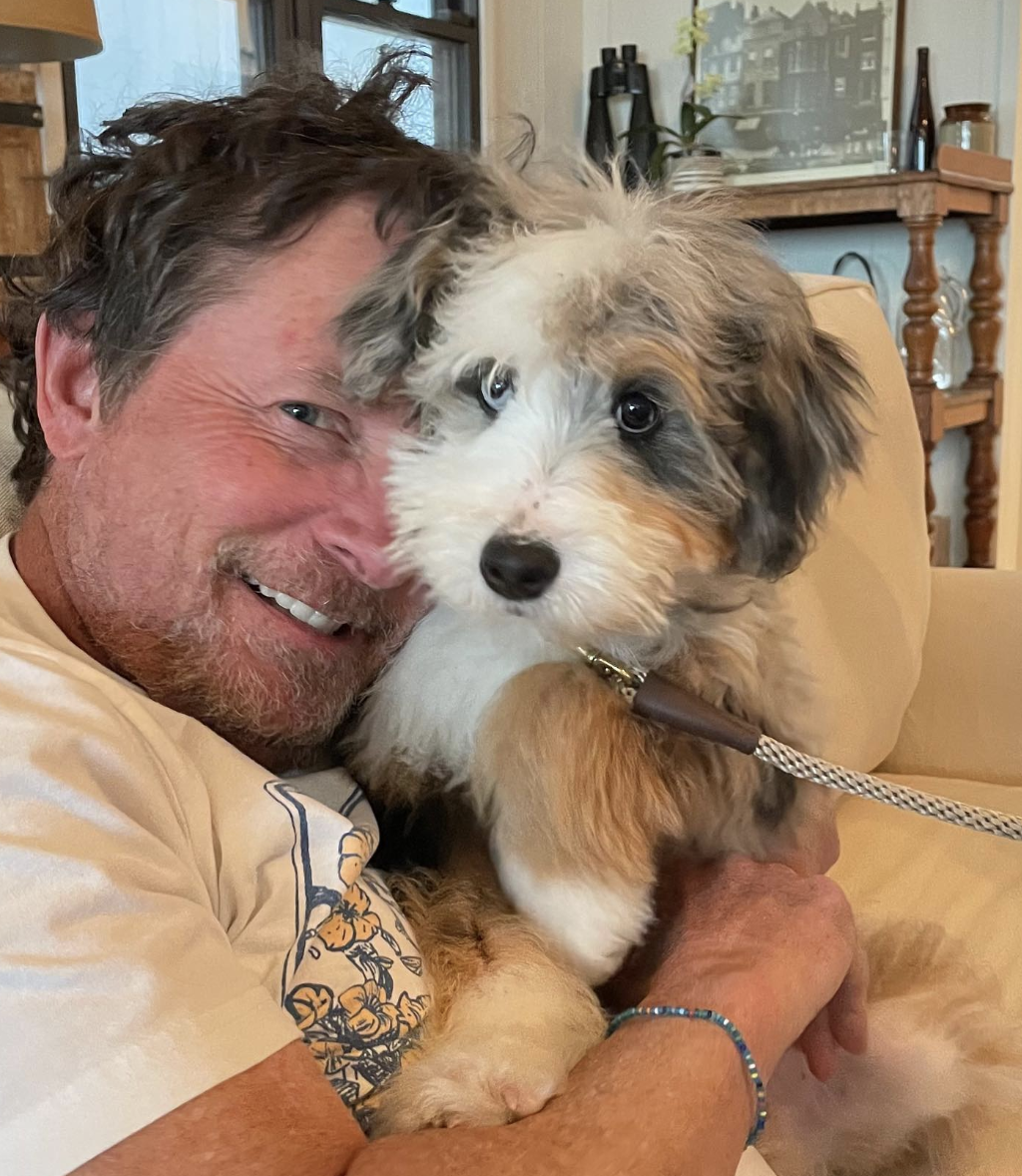 Fans Think Michael J. Fox's New Puppy Looks Like Dog From 'Back to the Future'