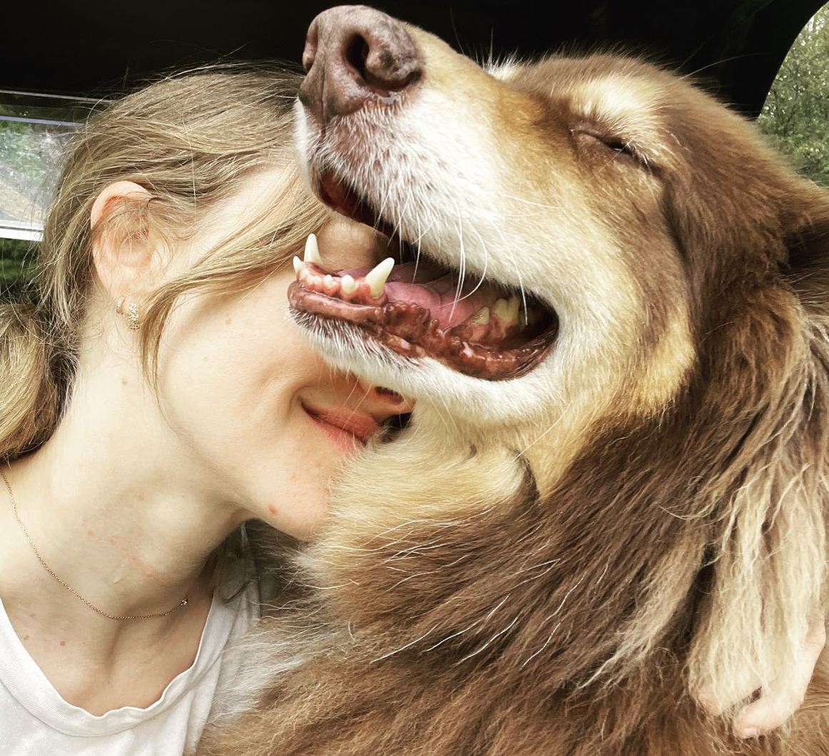 Amanda Seyfried Thanked Her 13-Year-Old Dog During Her Emmy Acceptance Speech 