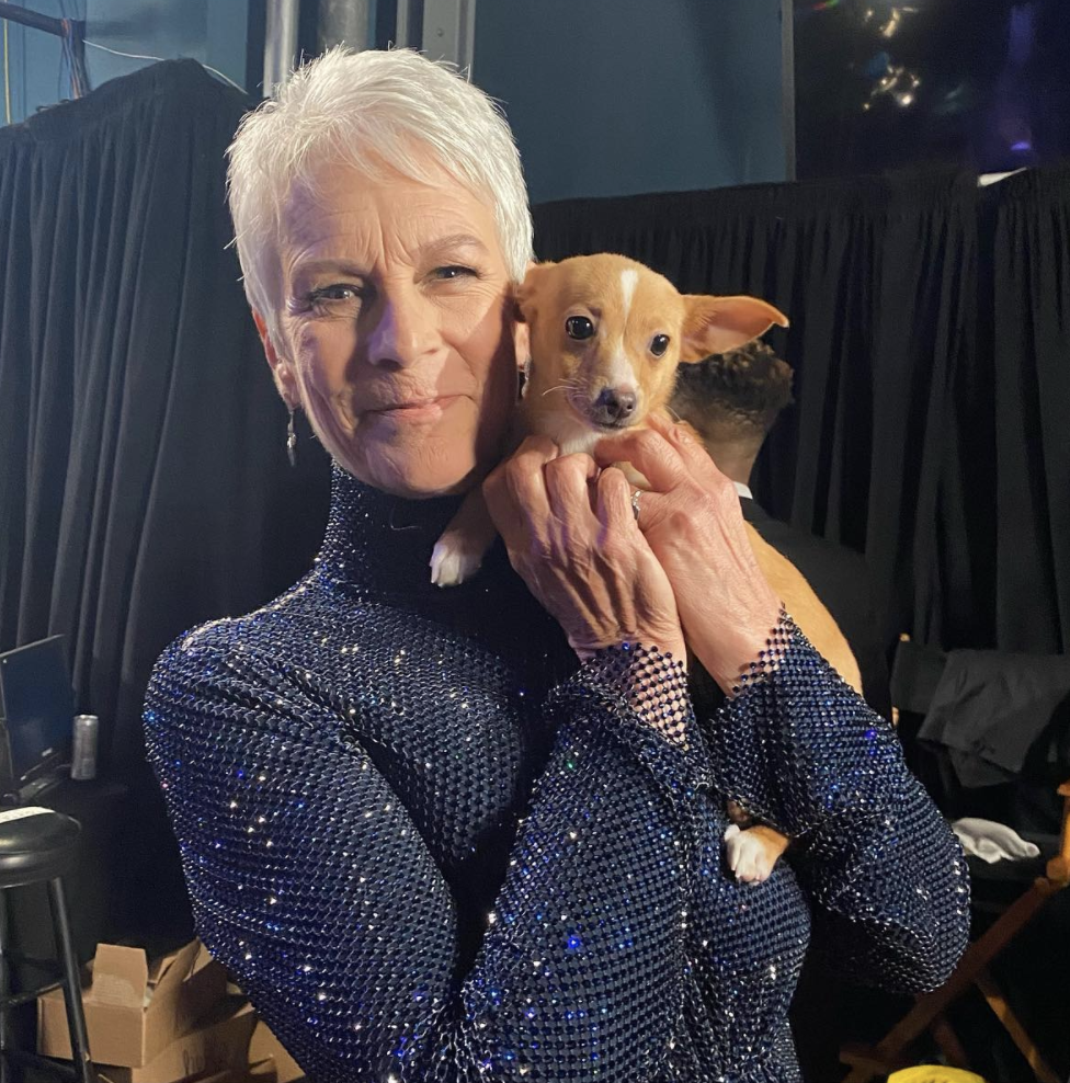 Jamie Lee Curtis Honored Late Rescue Advocate Betty White In The Best Way Possible