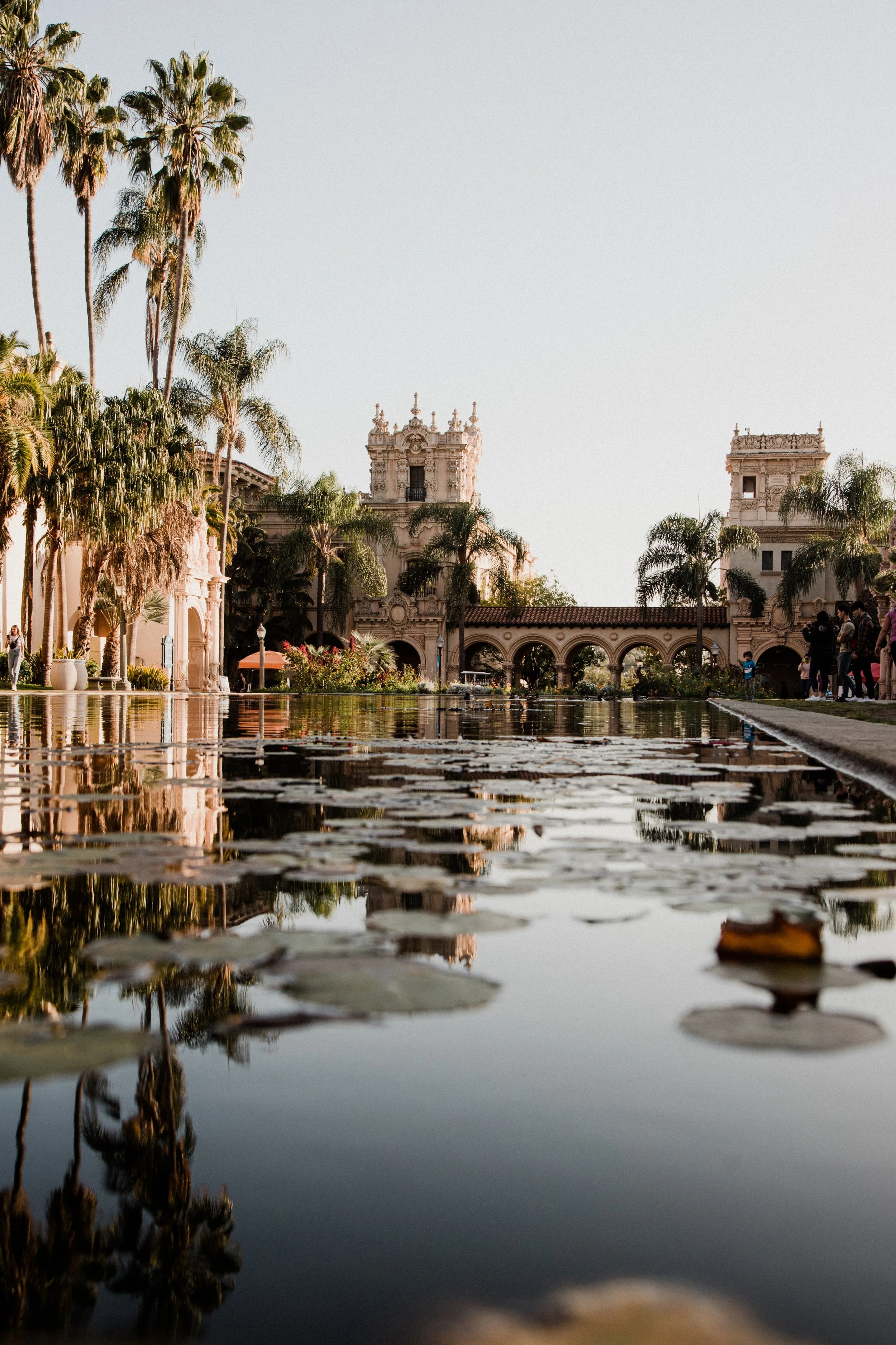 8 Dog-Friendly Places To Visit In San Diego