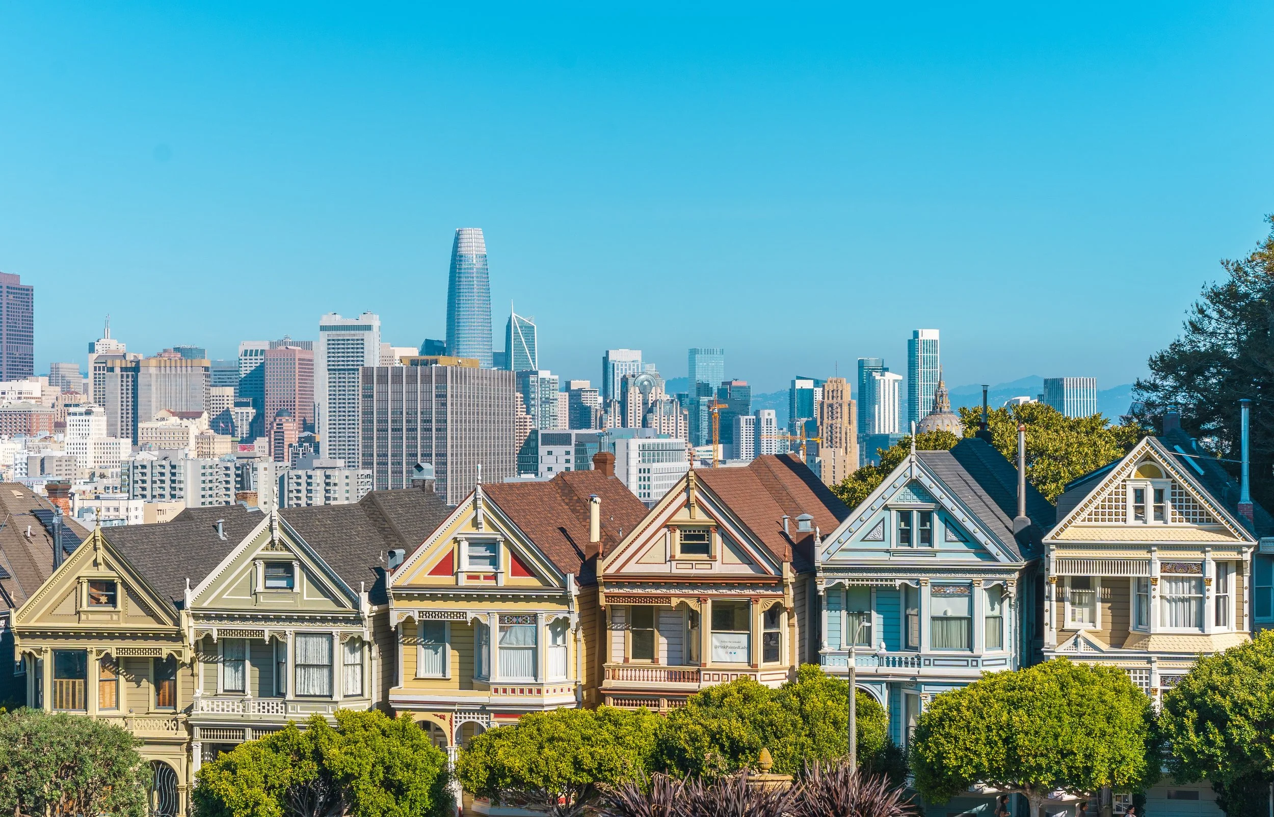 Best Places To Take Your Dog In San Francisco This Summer