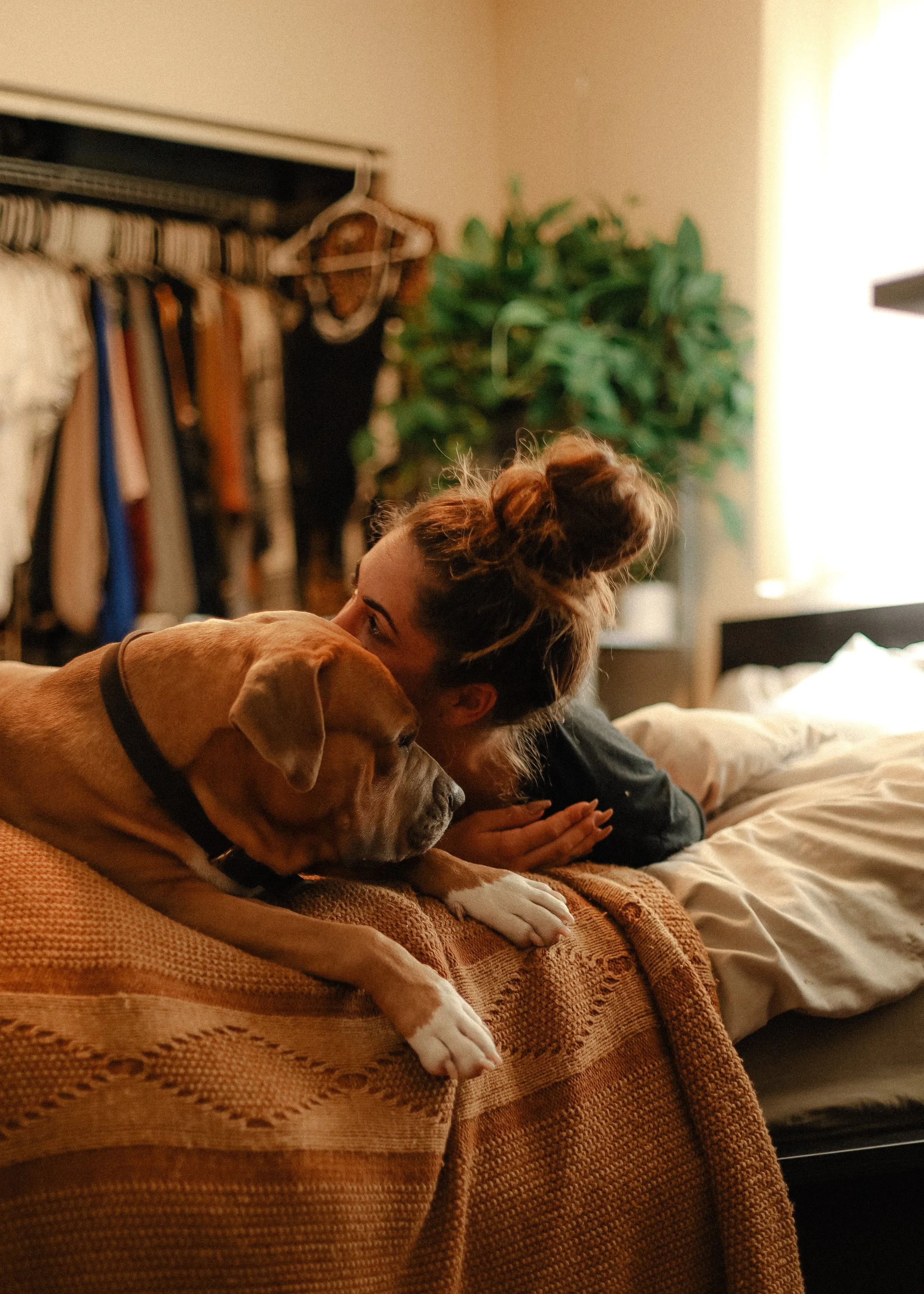 Should You Allow Your Dog To Sleep In Your Bed? 