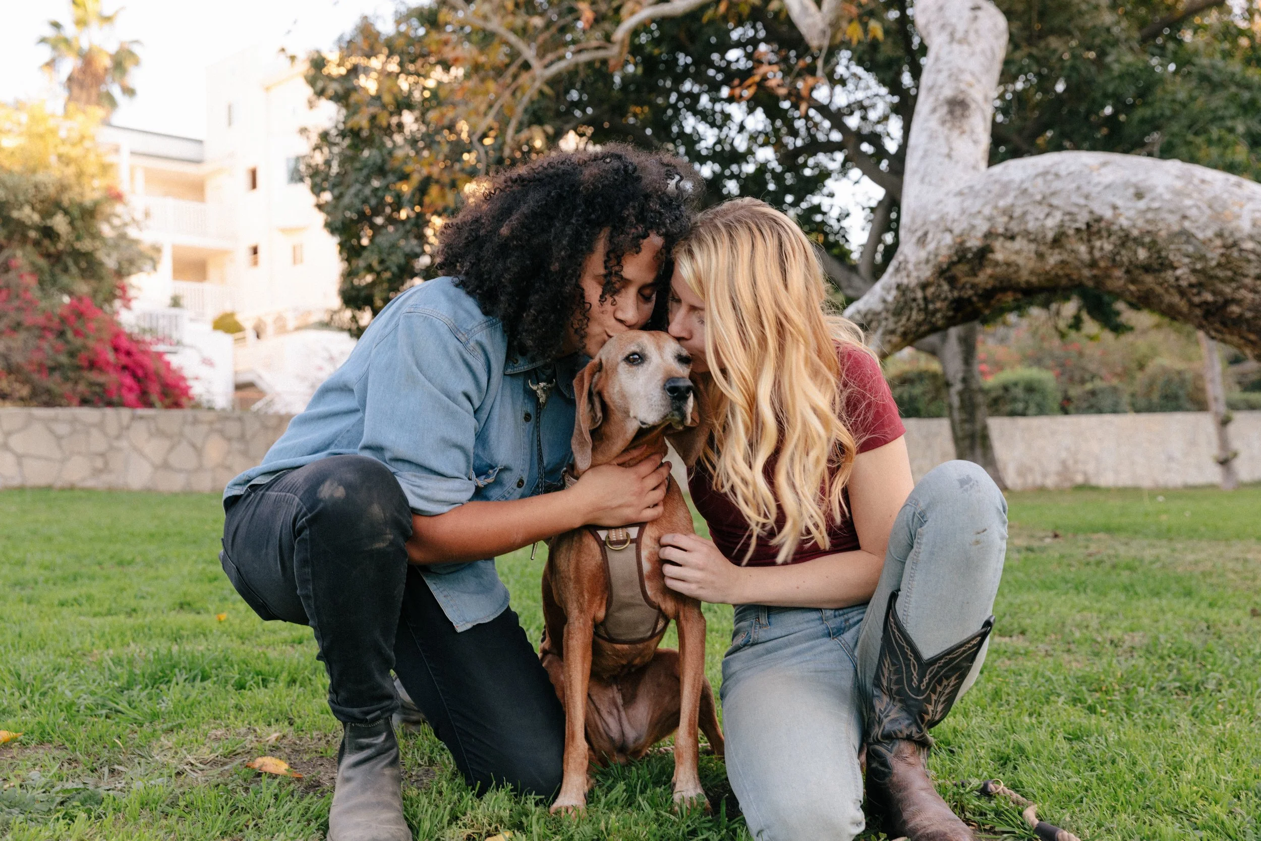 Perfect Dog-Friendly Dates For Valentine's Day