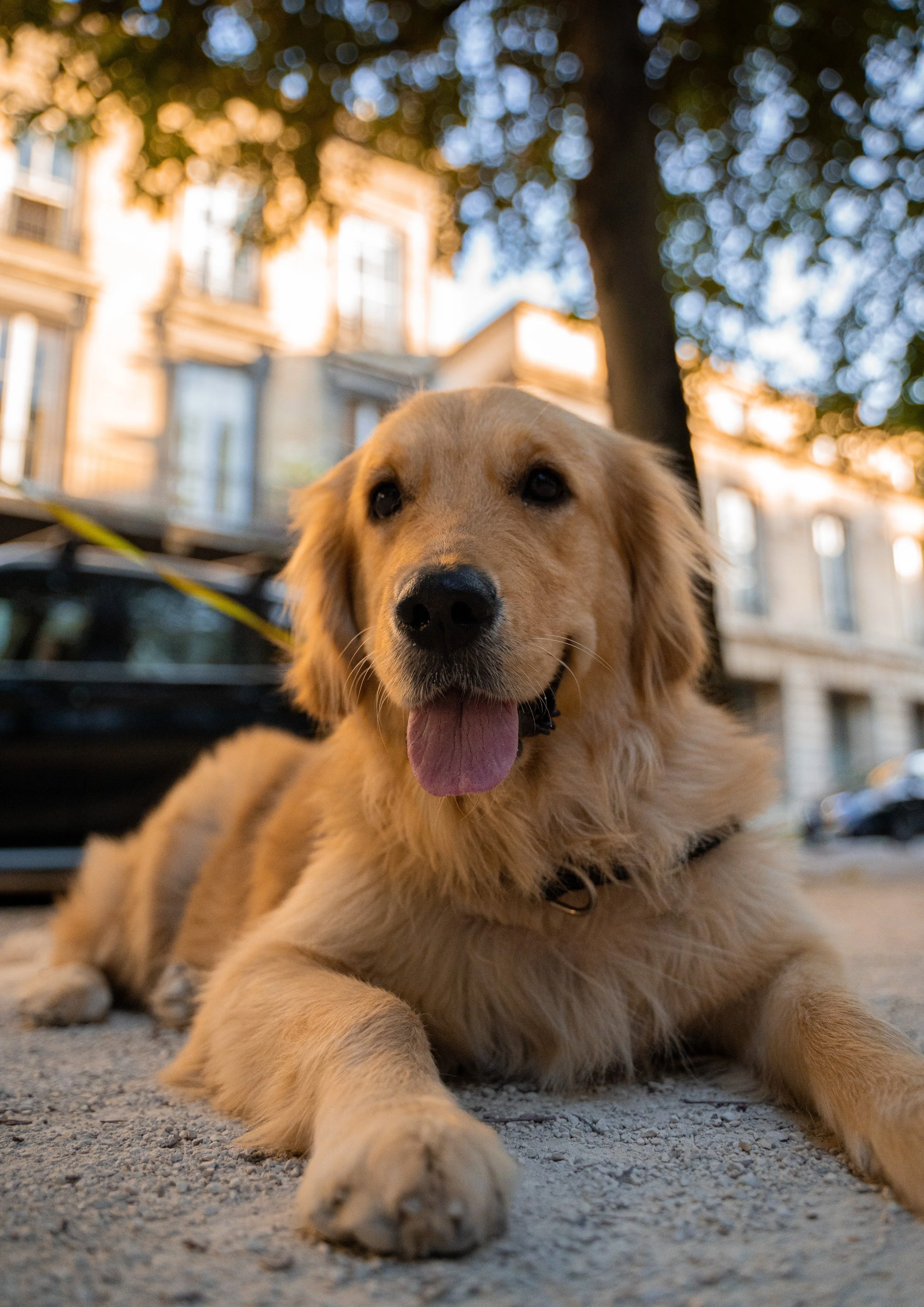 What 'In The Dark' Star Perry Mattfeld Really Thinks About Her Canine Co-Star 
