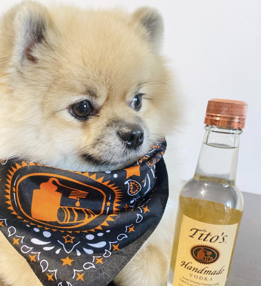 If You Like Vodka And Dogs, Tito's Is The Brand For You