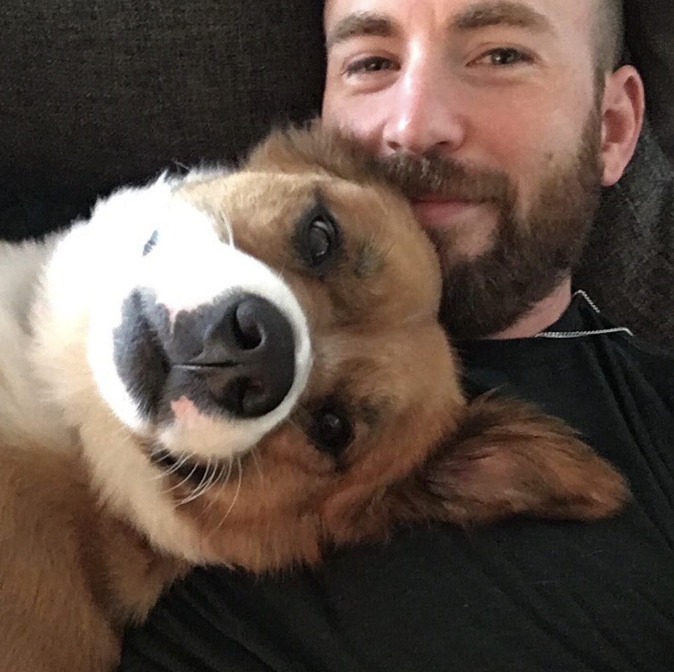 Chris Evans Reveals Rescuing An Adult Dog Has Been His 'Best Decision' 