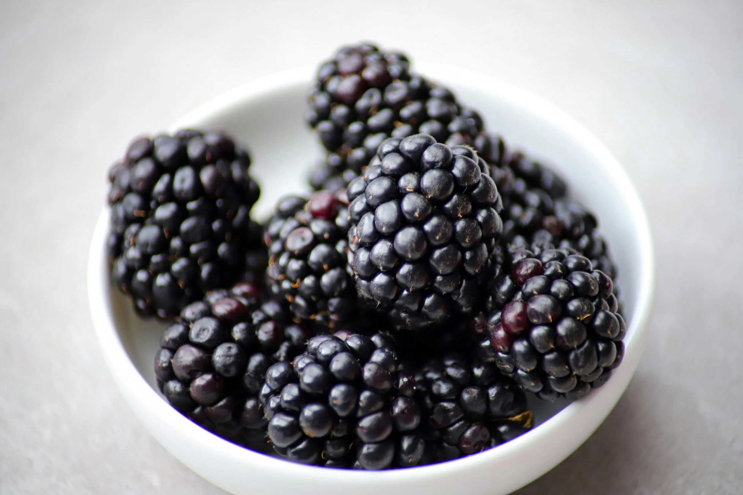 Can My Dog Eat Blackberries? 