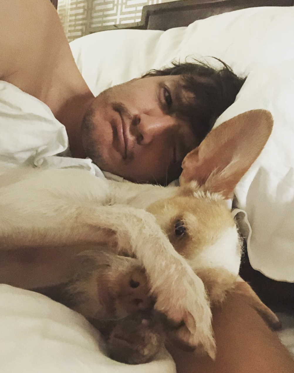 Pedro Pascal Shows His Love for Friend's Dog in Adorable Video 