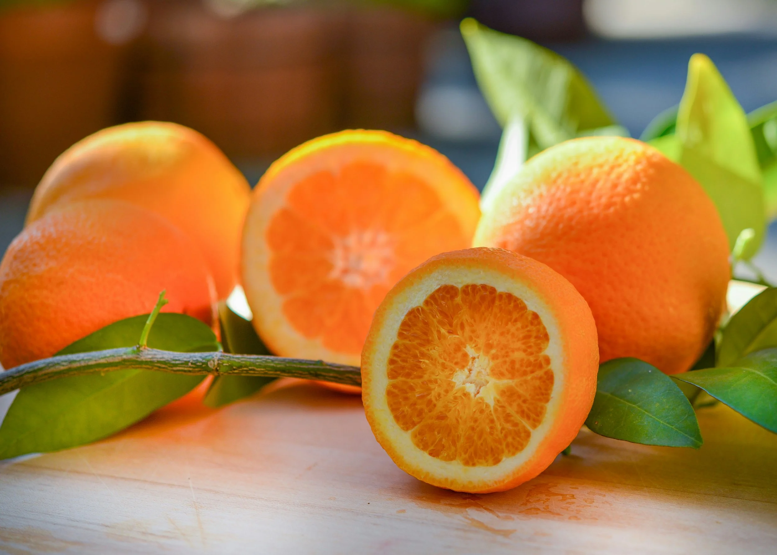 Should Dogs Eat Oranges? 