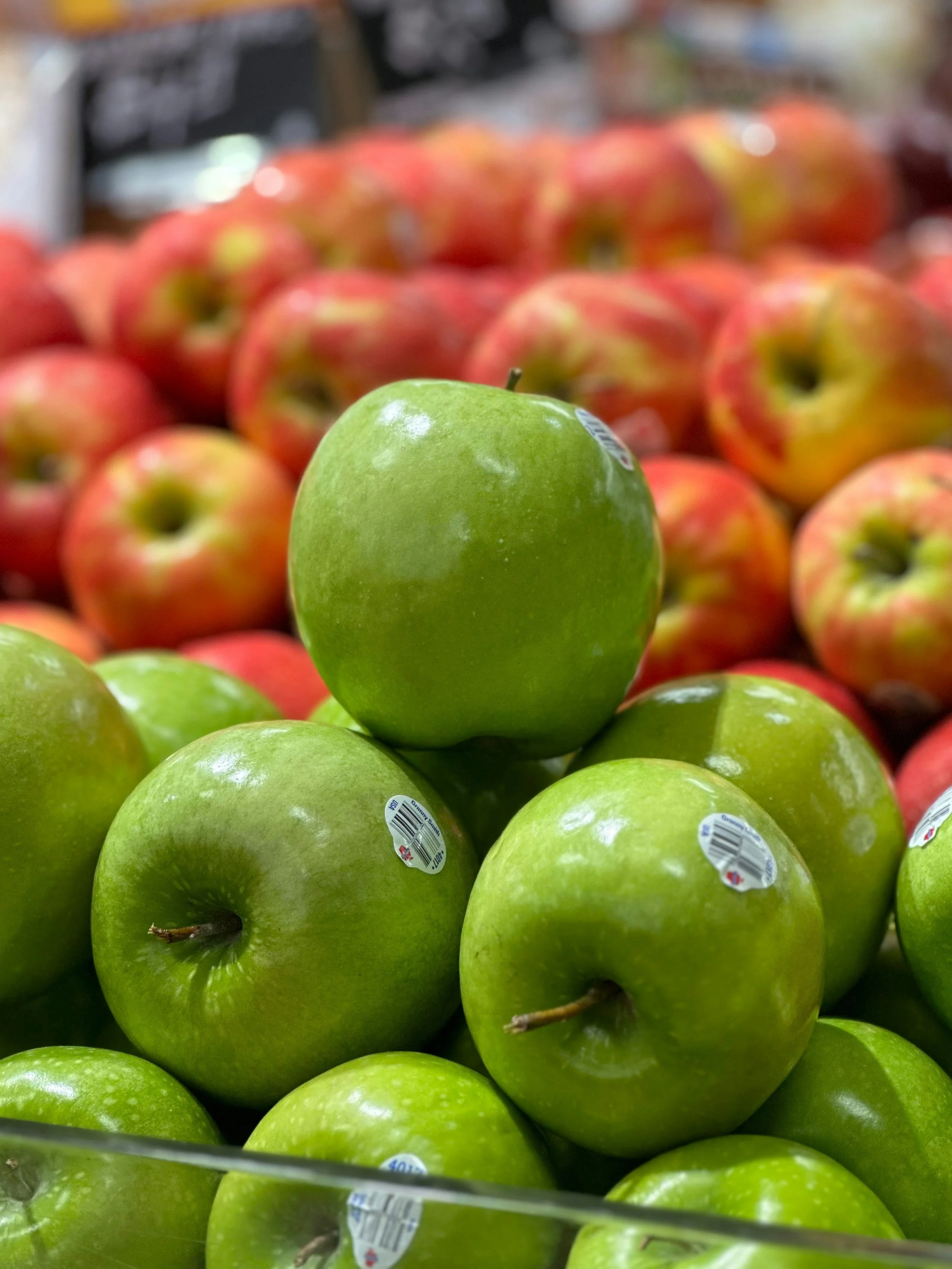 Should Dogs Eat Apples? 