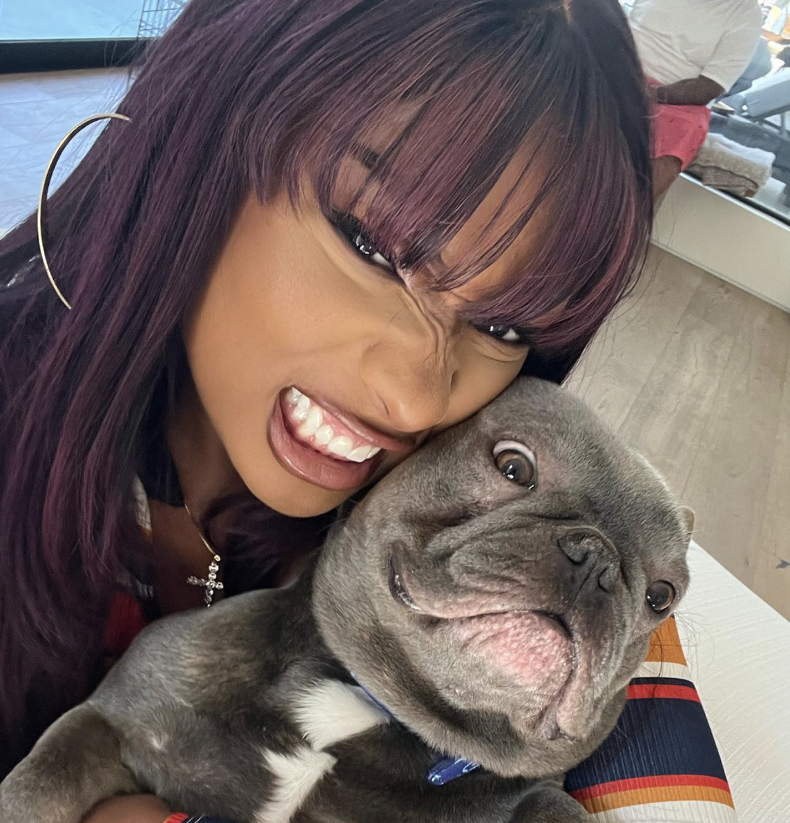What You Need to Know About Megan Thee Stallion &amp; Her Six Dogs 