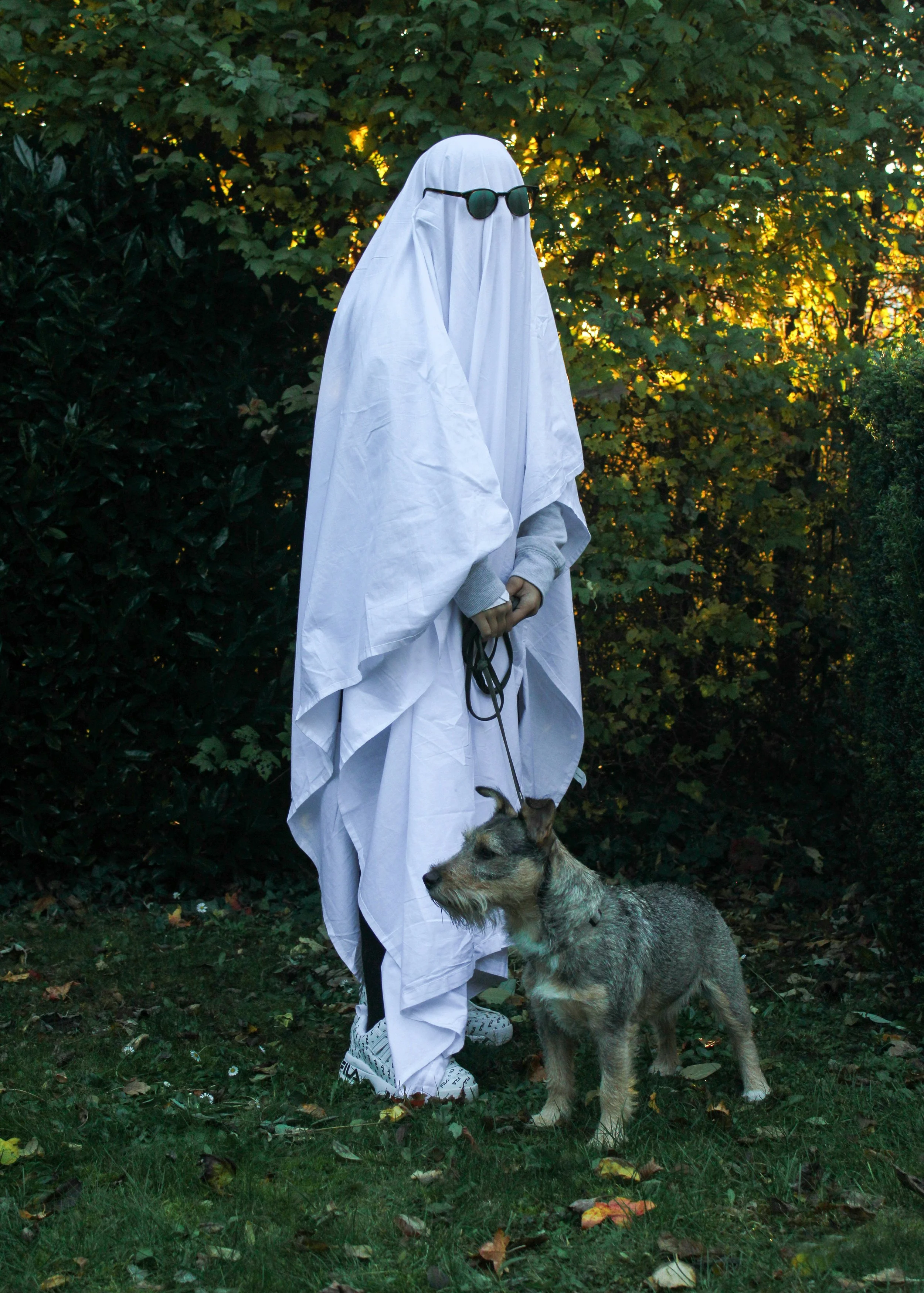 9 Super Fun Dog-Friendly Activities to Do on Halloween 