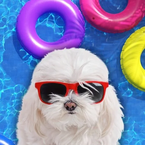 The Cast of 'Summer House' &amp; Their Furry Friends 