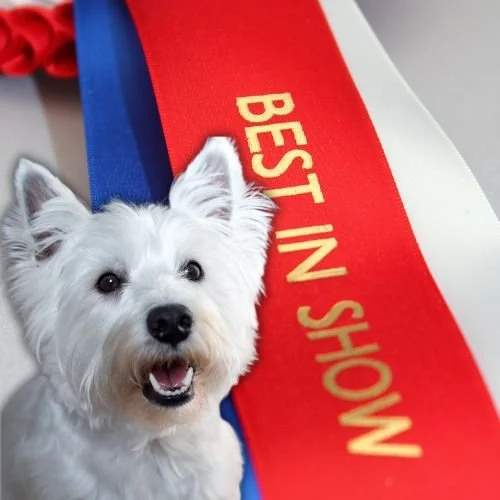 How the Westminster Dog Show Honored 'Best in Show' Legend Catherine O’Hara