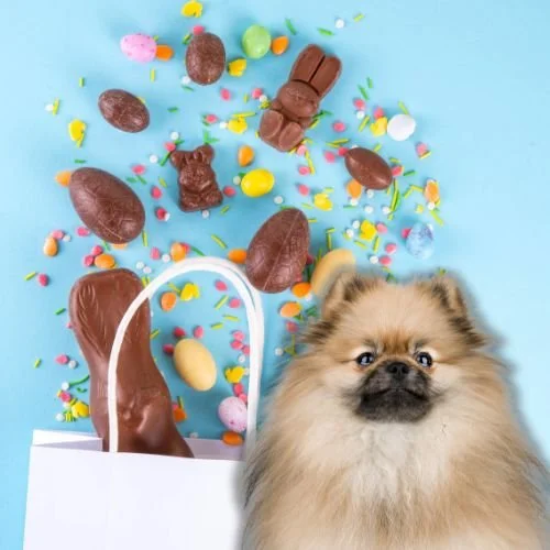 7 Easy Dog-Friendly Easter Treat Recipes Your Furry Friend Will Love