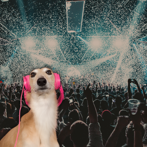 The Definitive Ranking of Dog-Themed Songs