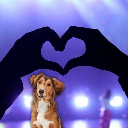 Everything to Know About Ariana Grande's Dog-Obsessed Life With Her 8 Rescue Pups
